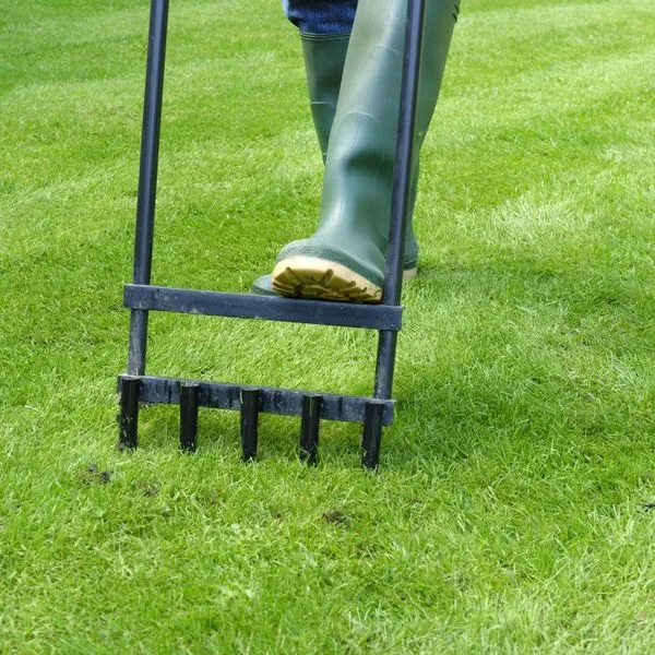 Aerate Your Lawn 