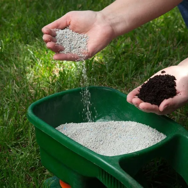 Lawn Fertilizer