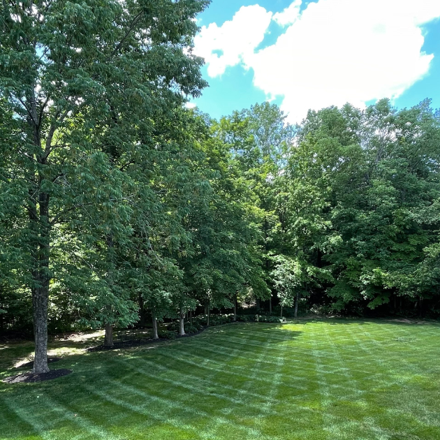 Lawn Care in Louisville, KY | Turf Chief