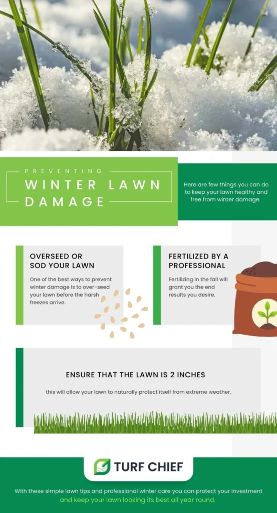 Winter Lawn Damage Prevention