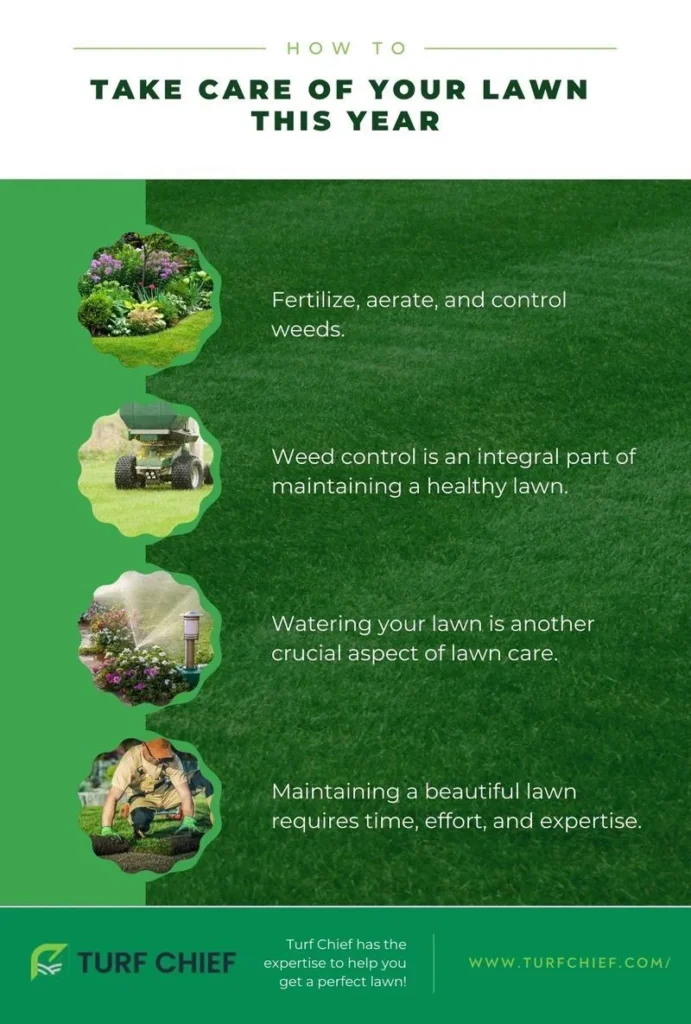 Yearly Lawn Maintenance & Care