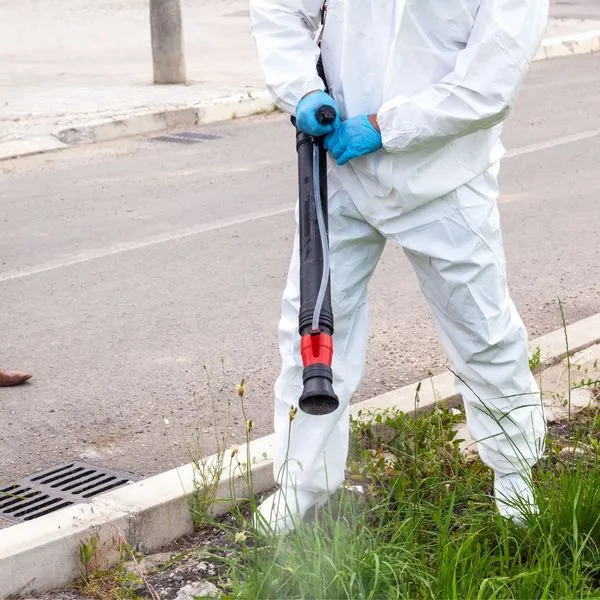 Mosquito Control Fogging