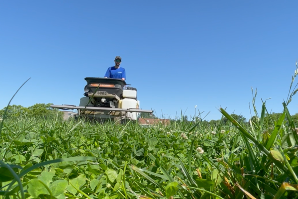 Weed Control & Fertilization | Turf Chief