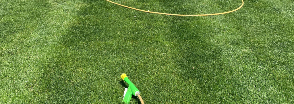 Lawn Fertilization & Weed Control | Turf Chief