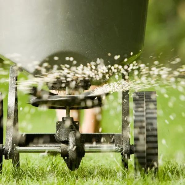 Lawn Fertilizer