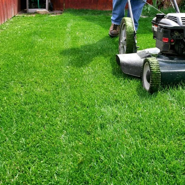 Lawn Mowing