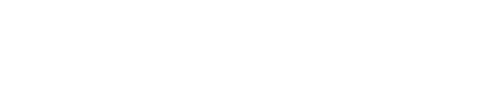 Logo transparent white