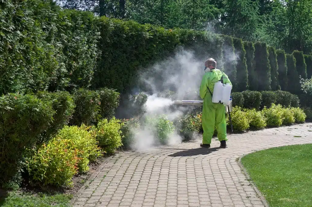 Pest Control Worker Fogging In