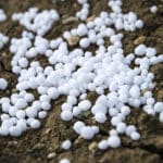 5 Signs Your Lawn Needs a Fall Fertilizer Treatment