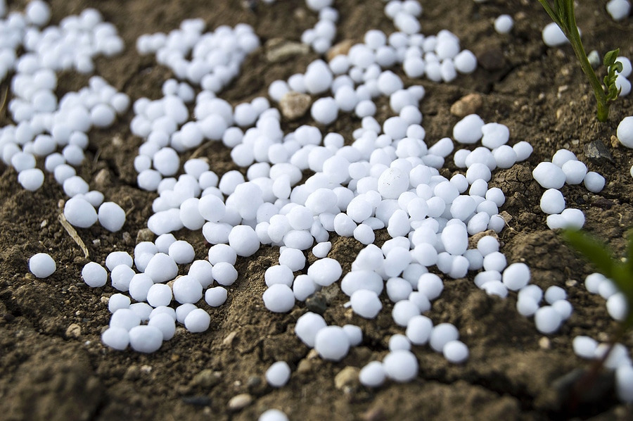 5 Signs Your Lawn Needs a Fall Fertilizer Treatment