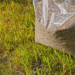How Fall Aeration & Overseeding Resets Your Lawn