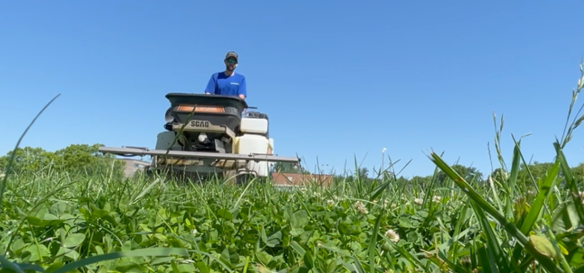 Weed Control & Fertilization | Turf Chief